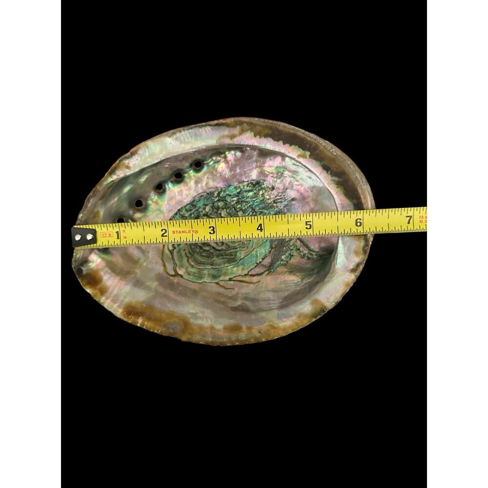 Large Natural Abalone Shell 6” Iridescent Mother of Pearl Smudging Bowl Trinket - Picture 10 of 10